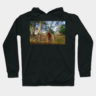 A Horse in the Adelaide Hills, South Australia Hoodie